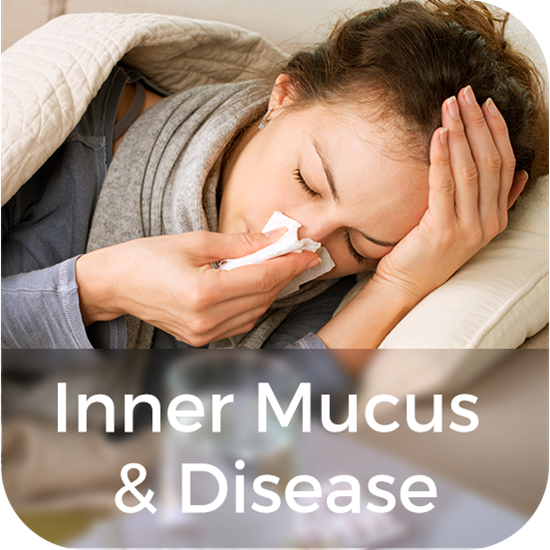 Picture of The Inner Mucus & Disease Connection